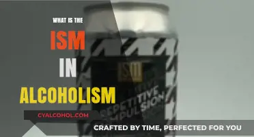 Understanding the 'Ism' in Alcoholism: A Comprehensive Guide