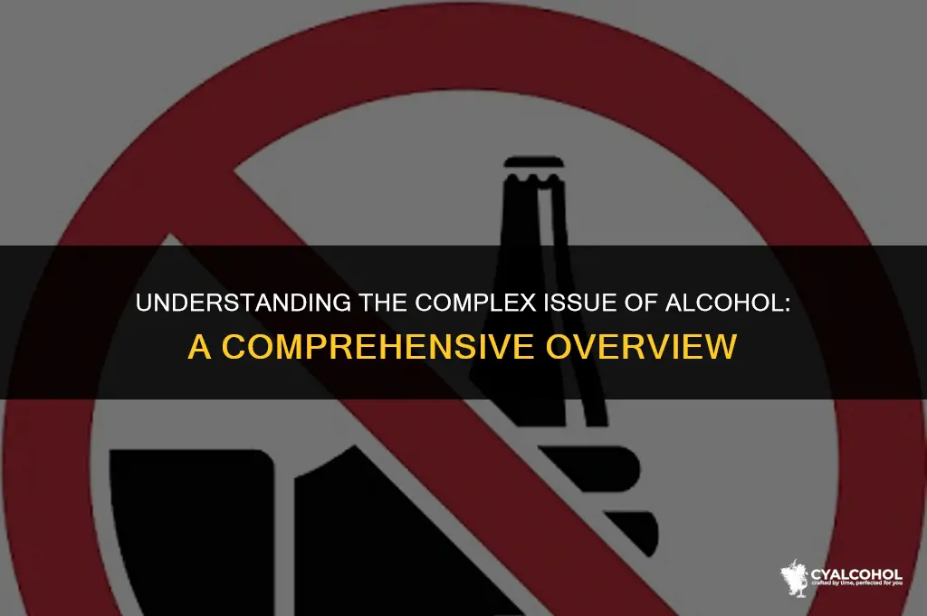 what is the issue of alcohol