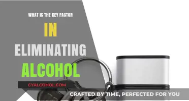 Understanding the Crucial Element to Successfully Eliminate Alcohol Consumption