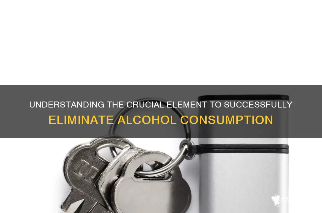 what is the key factor in eliminating alcohol