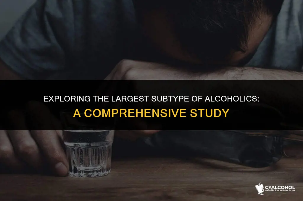 what is the largest alcoholic subtype