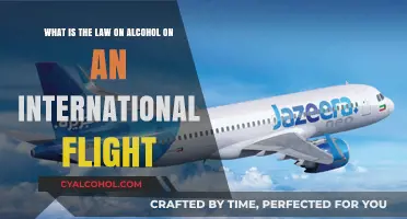 Alcohol Laws on International Flights: What You Need to Know
