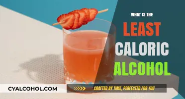 Exploring the Lowest Calorie Alcohol Options for Health-Conscious Drinkers