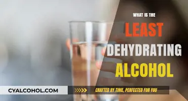 Exploring the Least Dehydrating Alcohol Options for Healthier Choices