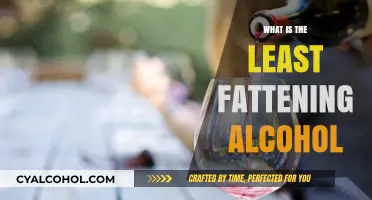 Low-Calorie Alcohol Options: What’s the Least Fattening Drink?
