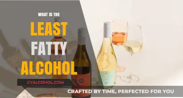 Exploring the Healthiest Alcohol Options: A Guide to Low-Fat Choices