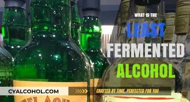 Exploring the Spectrum of Fermentation: Which Alcohol Has the Least?
