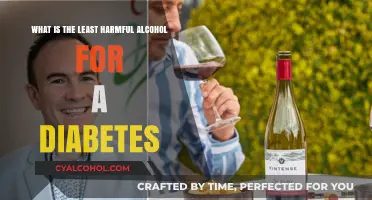 Best Alcoholic Drinks for People with Diabetes