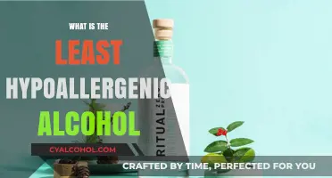 Unveiling the Least Allergenic Alcohol Options for Sensitive Drinkers