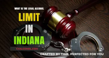 Indiana's Legal Alcohol Limit: Understanding BAC Laws for Drivers