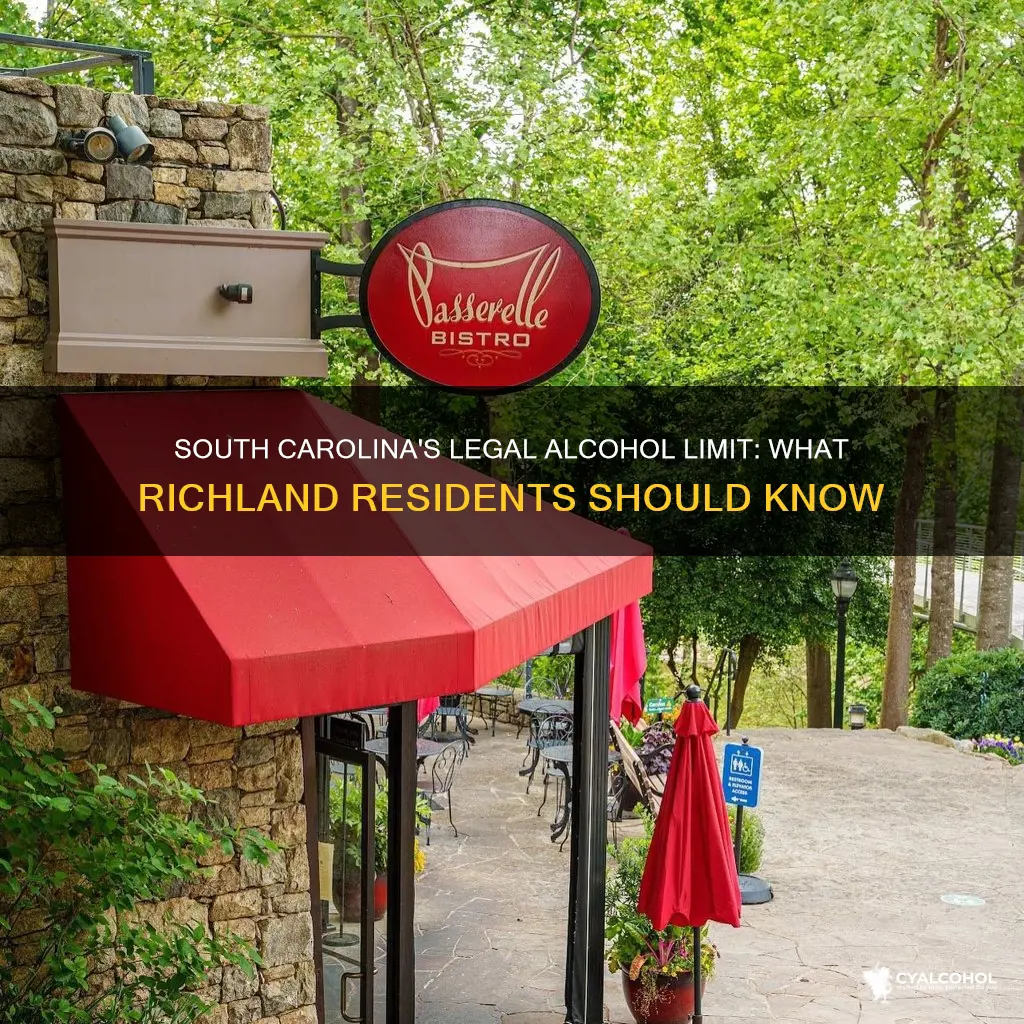 what is the legal alcohol limit in richland south carolina