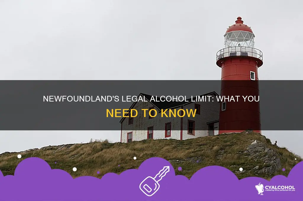 what is the legal limit of alcohol in newfoundland