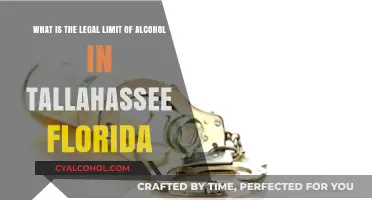Tallahassee's Legal Alcohol Limit Laws Explained