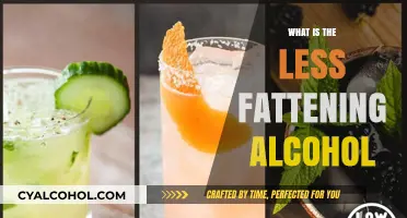 Healthier Happy Hour: Discover the Least Fattening Alcohol Options
