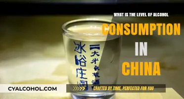 Alcohol Consumption Trends in China: A Data-Driven Overview