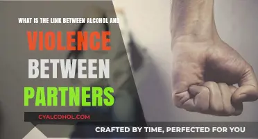 Alcohol's Role in Partner Violence