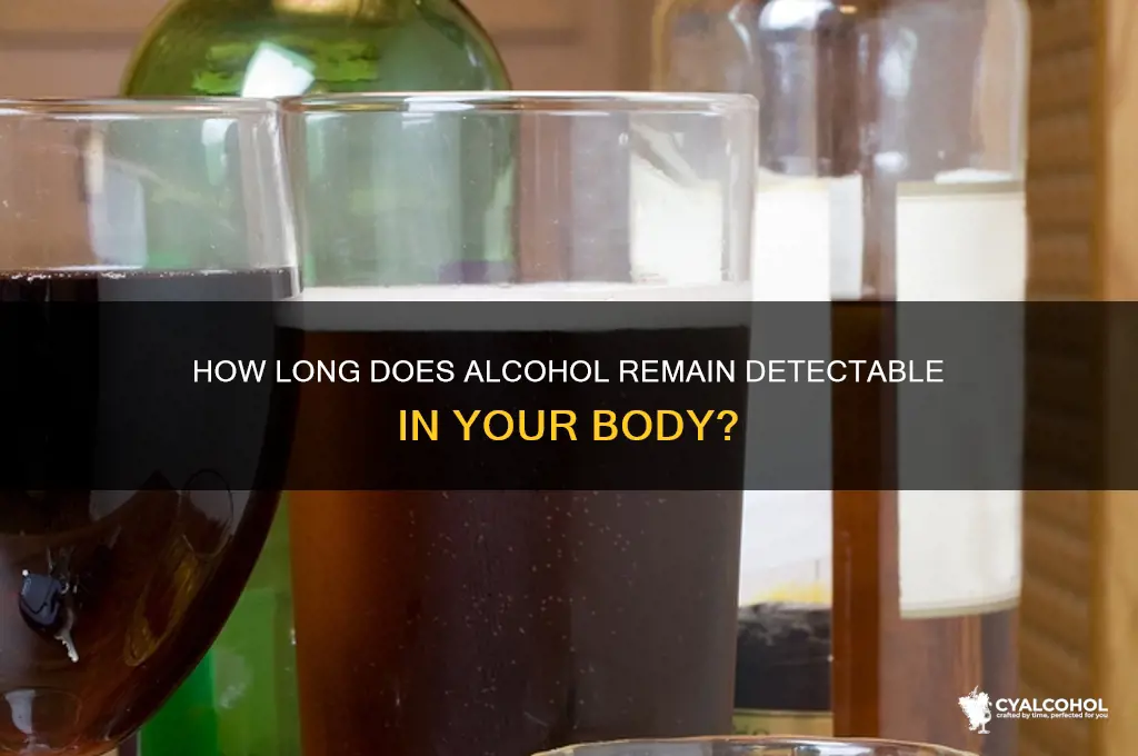 what is the longest alcohol stays in system