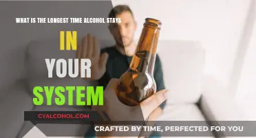 How Long Does Alcohol Really Stay in Your System?