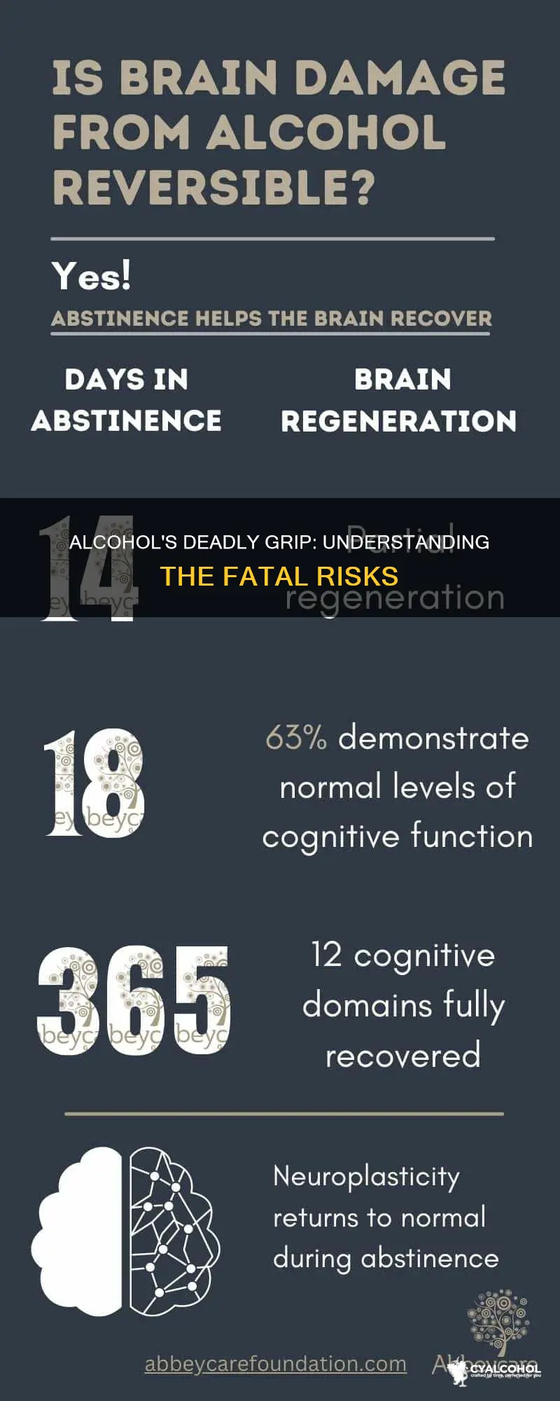 what is the main idea in death death by alcohol