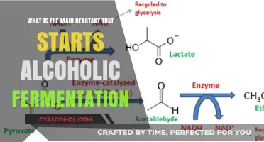 Glucose: The Key Reactant in Alcoholic Fermentation