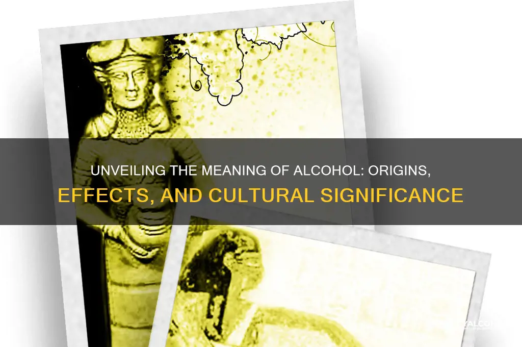 what is the meaning of alcohol