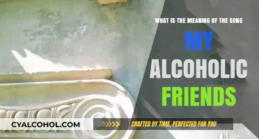 Alcoholic Friends: A Song's Meaning Explored