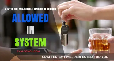 How Much Alcohol is Allowed in Your System?