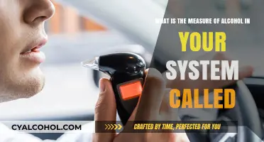 Alcohol Level Measurement: Understanding Your BAC