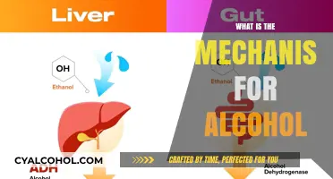 Unveiling the Science: How Alcohol Affects Your Body