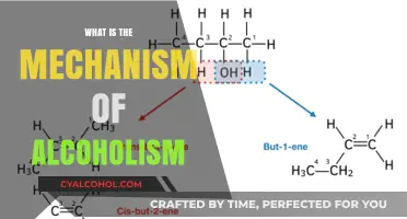 Unraveling the Complex Mechanism of Alcoholism: A Scientific Perspective