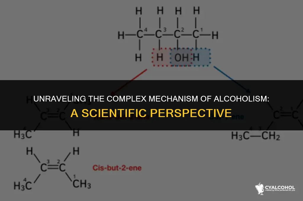 what is the mechanism of alcoholism