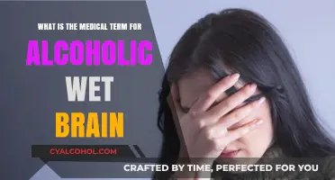 Alcoholic Wet Brain: Understanding the Medical Term