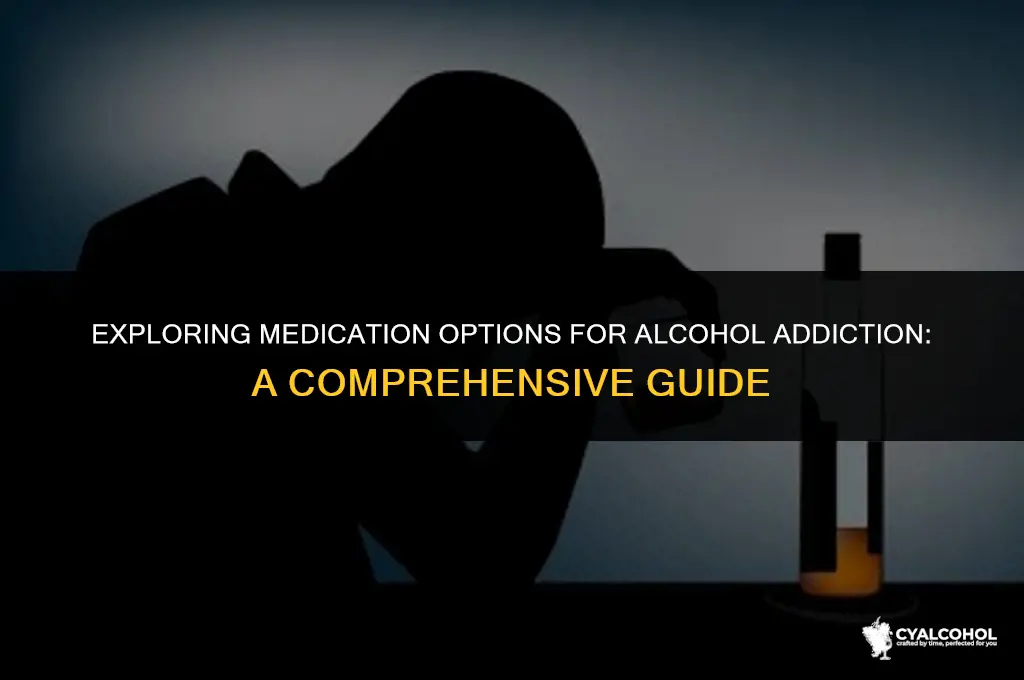 what is the medication for alcoholics