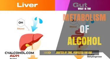 Unveiling the Complex Journey: How Your Body Metabolizes Alcohol