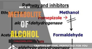 Unveiling the Science: Alcohol's Journey Through Metabolism