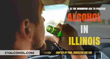Alcohol Possession Age Limit in Illinois