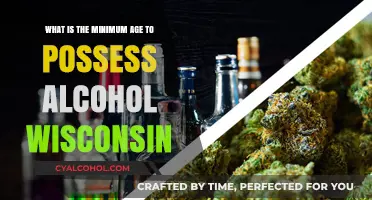Wisconsin Alcohol Possession Age Limit Laws Explained