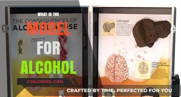 Understanding Alcohol: A Comprehensive Guide to Its Effects and Models