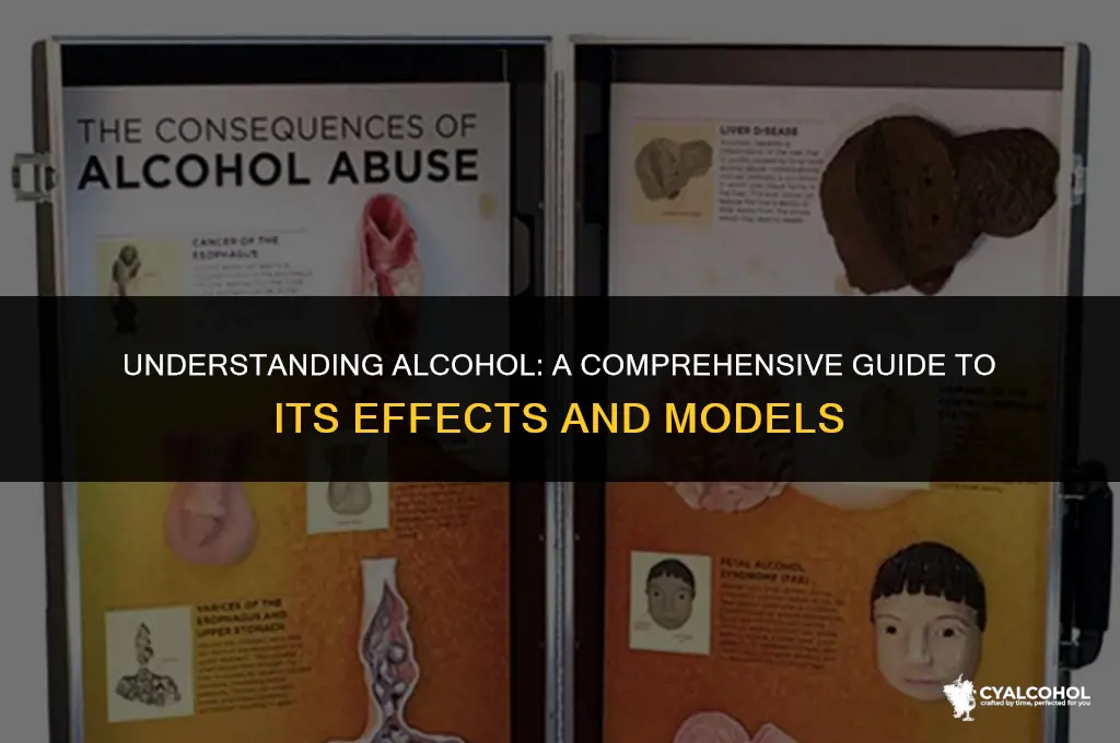 what is the model for alcohol