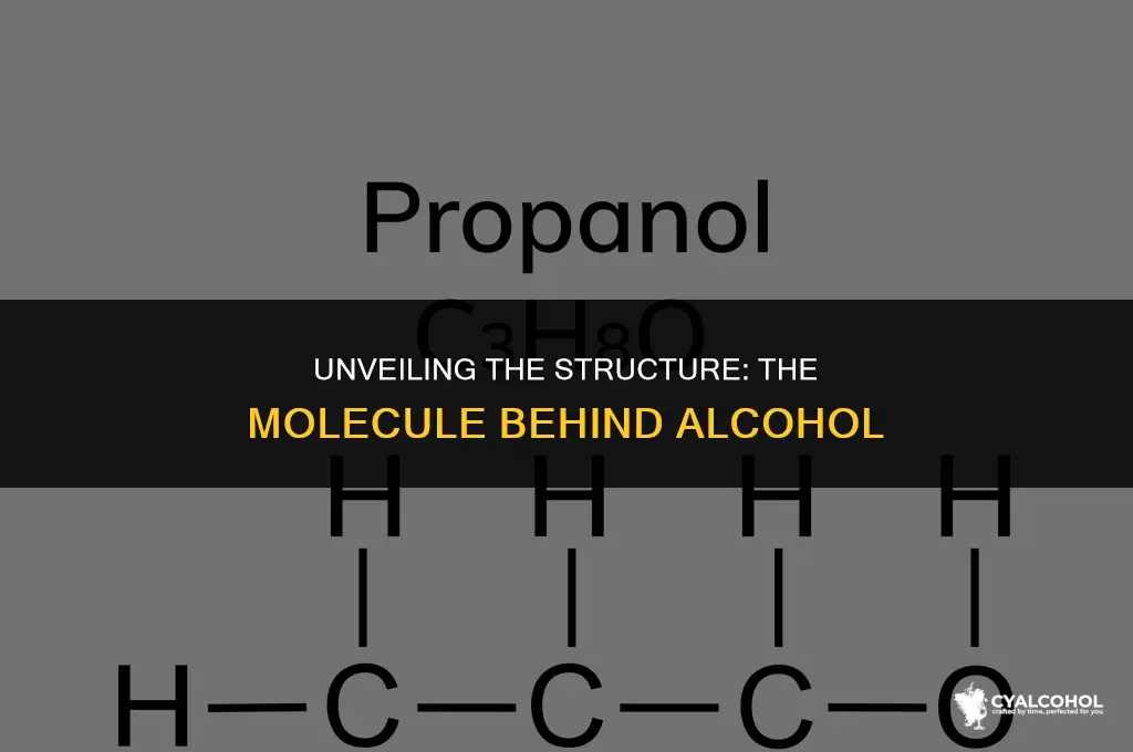 what is the molecule of alcohol