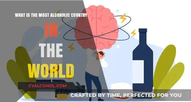 Alcohol Consumption: Which Country Leads the World?