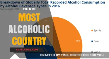 Exploring Global Spirits: Which Country Tops the Alcohol Consumption Chart?