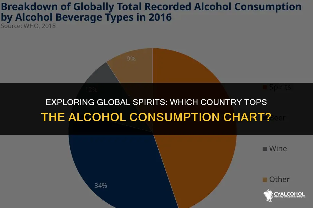 what is the most alcoholic country