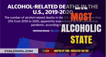 Exploring the Limits: Which State Tops the Alcohol Consumption Charts?