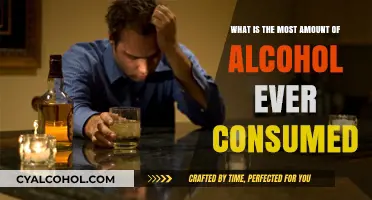 The Greatest Alcohol Binge in History
