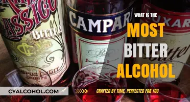 Exploring the World of Bitter Spirits: A Connoisseur's Guide