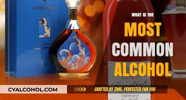 Exploring the Most Popular Alcohol Choices Around the World