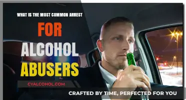 Alcohol Abuse and the Most Common Arrests