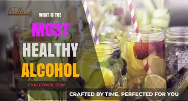 Healthiest Alcohol Choices: Balancing Enjoyment with Wellness Benefits