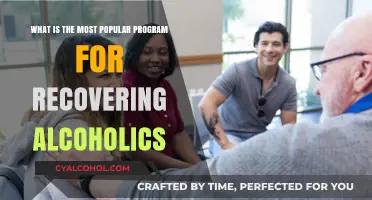 Effective Programs for Recovering Alcoholics